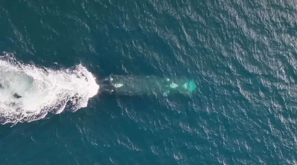 A look at the Excalibur UUV submerged, from the video the US Navy released today. USN capture